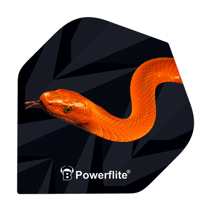 BL50702_Bulls_Powerflite_Mamba_No2_Standard_Flights_1