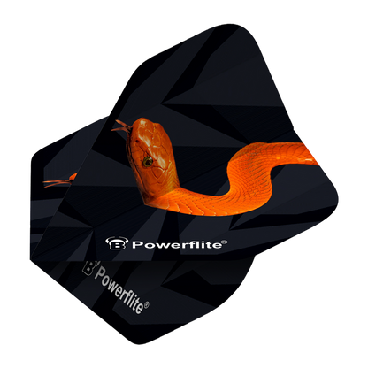 BL50702_Bulls_Powerflite_Mamba_No2_Standard_Flights_2