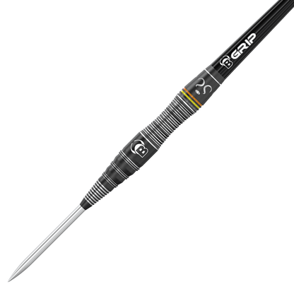 Bulls_Brian_Raman_The_Riddler_Steeldarts_2