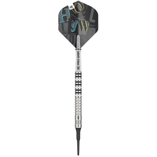 Chris Dobey Softdarts