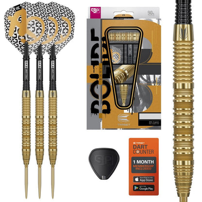 Target Bolide Envy 01 Steeldarts