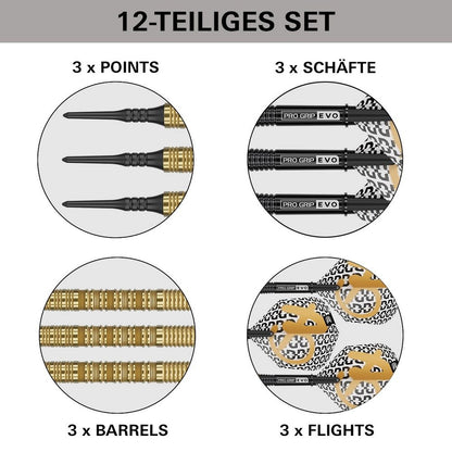 Target Bolide Envy 10 Softdarts