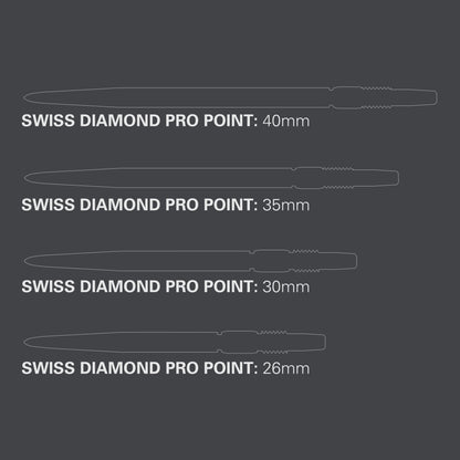 Target Swiss Diamond Pro silber